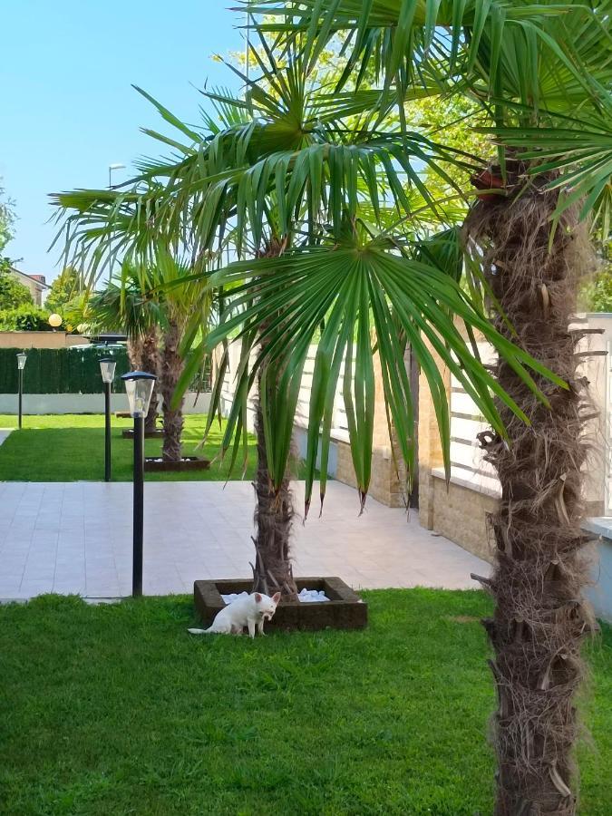 Residence Deamarina Marina di Massa Exteriér fotografie