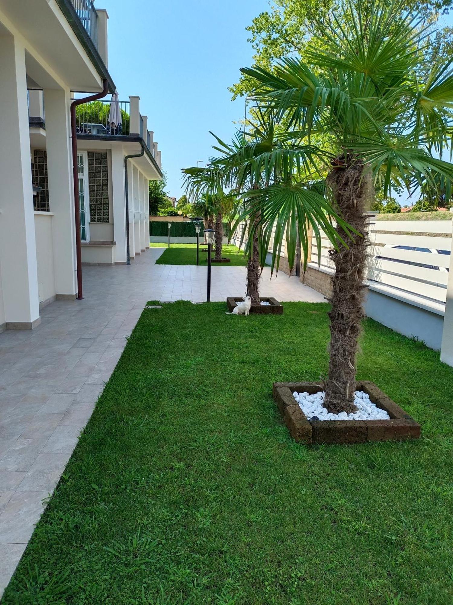 Residence Deamarina Marina di Massa Exteriér fotografie